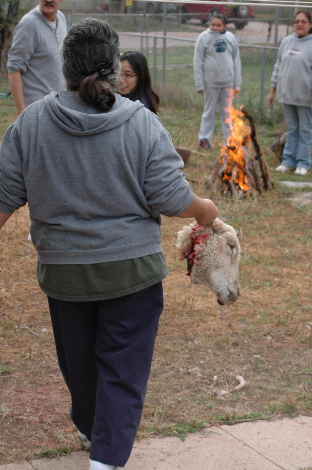 DSC_0033.JPG