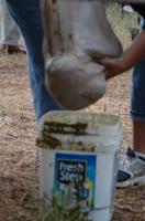 DSC_0128.JPG