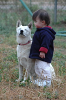 DSC_0016.JPG