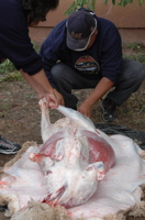 DSC_0027.JPG