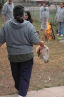 DSC_0033.JPG