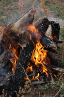 DSC_0042.JPG