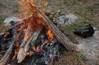DSC_0076.JPG